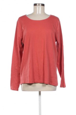 Damen Shirt Janina, Größe XL, Farbe Braun, Preis 10,00 €