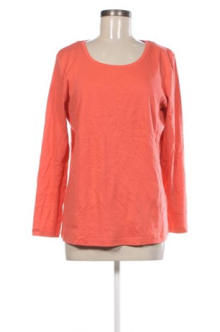 Damen Shirt Laura T., Größe M, Farbe Orange, Preis 6,99 €