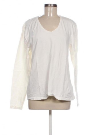 Damen Shirt Mishumo, Größe XXL, Farbe Weiß, Preis € 9,99