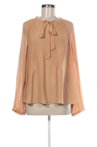 Γυναικεία μπλούζα Oltre, Μέγεθος XL, Χρώμα Καφέ, Τιμή 17,99 €