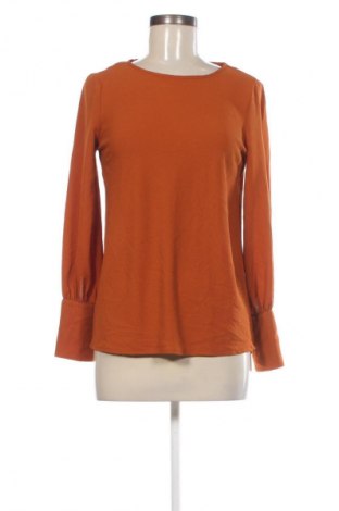 Damen Shirt Oviesse, Größe S, Farbe Orange, Preis € 6,99