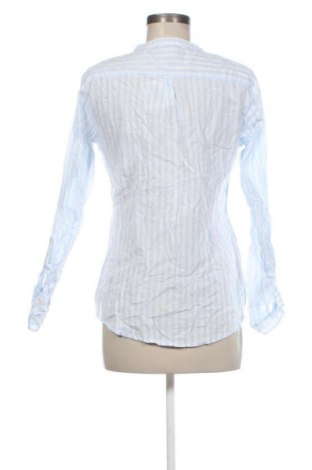 Bluzka damska Park Lane, Rozmiar L, Kolor Kolorowy, Cena 27,99 zł