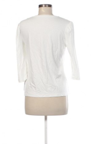 Γυναικεία μπλούζα Peter Hahn, Μέγεθος M, Χρώμα Λευκό, Τιμή 17,99 €