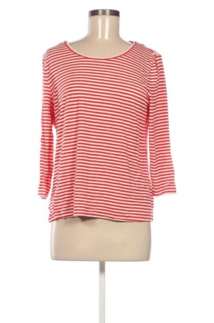 Dámská halenka Peter Hahn, Velikost L, Barva Vícebarevné, Cena  419,00 Kč