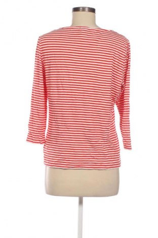 Dámská halenka Peter Hahn, Velikost L, Barva Vícebarevné, Cena  419,00 Kč