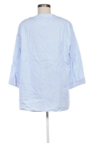 Γυναικεία μπλούζα Peter Hahn, Μέγεθος XL, Χρώμα Πολύχρωμο, Τιμή 17,99 €