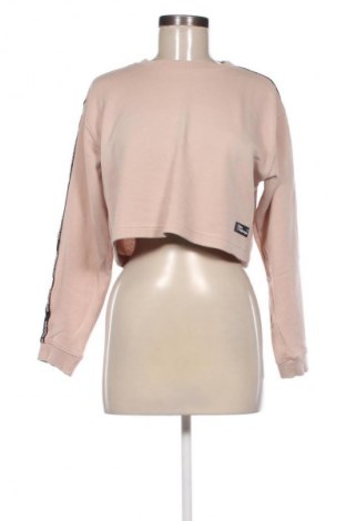 Damen Shirt Pull&Bear, Größe S, Farbe Aschrosa, Preis 11,36 €