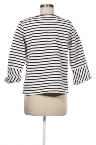 Γυναικεία μπλούζα Street One, Μέγεθος L, Χρώμα Πολύχρωμο, Τιμή 9,99 €