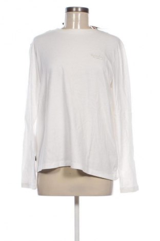 Damen Shirt Superdry, Größe M, Farbe Weiß, Preis € 46,99