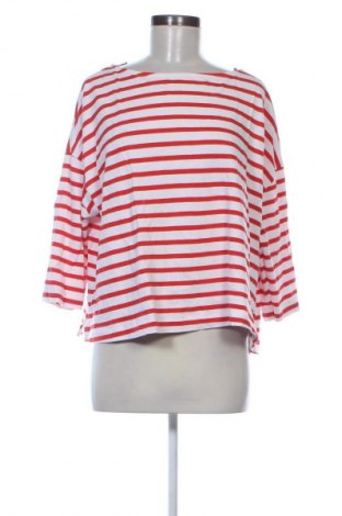 Γυναικεία μπλούζα TCM, Μέγεθος XL, Χρώμα Πολύχρωμο, Τιμή 8,99 €