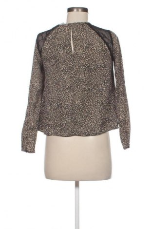 Γυναικεία μπλούζα Unbranded, Μέγεθος XS, Χρώμα Πολύχρωμο, Τιμή 9,72 €