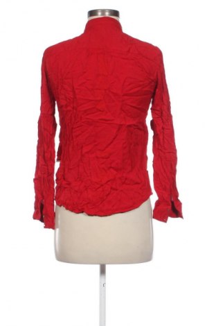 Damen Shirt Zara, Größe M, Farbe Rot, Preis € 10,99