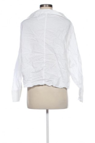 Damen Shirt Zara, Größe M, Farbe Weiß, Preis 13,81 €