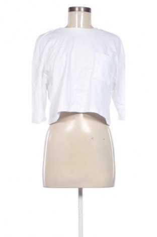 Damen Shirt Zara, Größe M, Farbe Weiß, Preis 23,53 €
