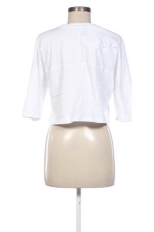 Damen Shirt Zara, Größe M, Farbe Weiß, Preis 23,53 €