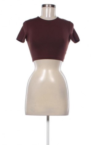 Damen Shirt Zara, Größe S, Farbe Braun, Preis 23,52 €
