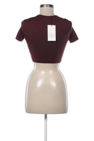 Damen Shirt Zara, Größe S, Farbe Braun, Preis 23,52 €