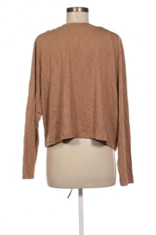 Damen Strickjacke No Secret, Größe XXL, Farbe Braun, Preis € 7,99