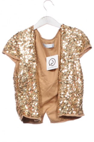 Дамска жилетка Zara, Размер M, Цвят Кафяв, Цена 18,99 лв.