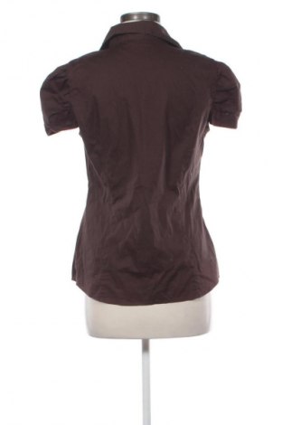 Női ing Calliope, Méret XL, Szín Barna, Ár 5 000 Ft