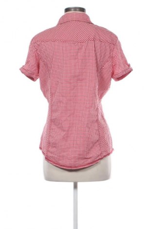 Damska koszula Cecil, Rozmiar L, Kolor Kolorowy, Cena 78,16 zł