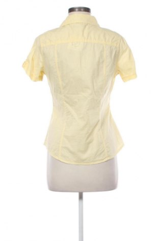 Damenbluse Colours Of The World, Größe M, Farbe Gelb, Preis € 12,77