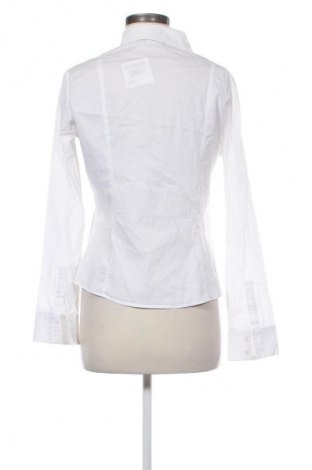 Damska koszula Diana Gallesi, Rozmiar M, Kolor Biały, Cena 125,84 zł