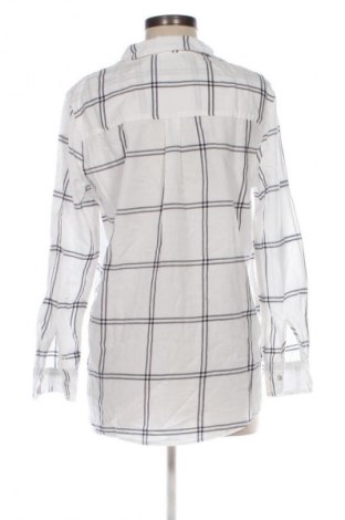 Damenbluse H&M, Größe L, Farbe Mehrfarbig, Preis 6,99 €