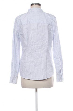 Damenbluse H&M, Größe L, Farbe Mehrfarbig, Preis € 12,79