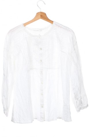 Damenbluse Mango, Größe XS, Farbe Weiß, Preis € 13,80