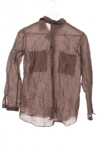 Női ing Massimo Dutti, Méret XS, Szín Barna, Ár 5 659 Ft