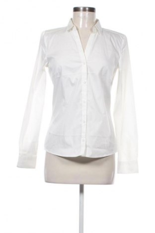 Damenbluse Montego, Größe S, Farbe Ecru, Preis € 12,79