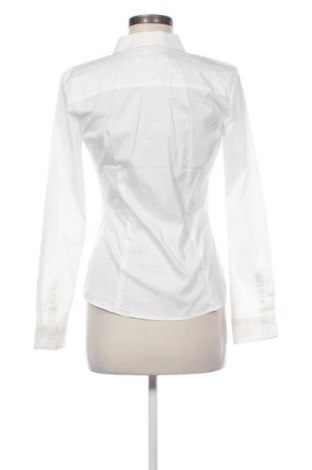 Damenbluse Montego, Größe S, Farbe Ecru, Preis € 12,79