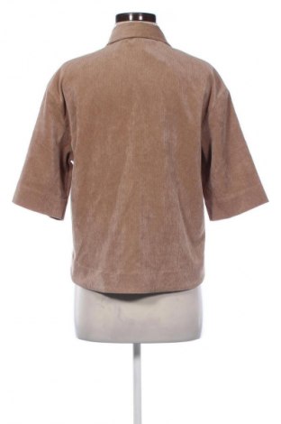 Damenbluse Opus, Größe M, Farbe Braun, Preis € 32,99