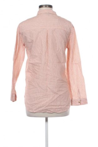 Damenbluse Primark, Größe S, Farbe Mehrfarbig, Preis € 13,00