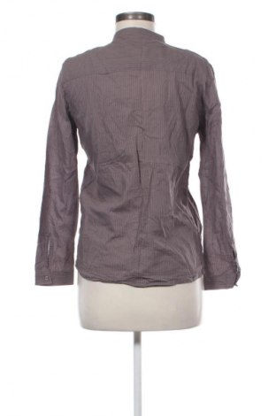 Dámská košile  Zara, Velikost M, Barva Vícebarevné, Cena  342,00 Kč