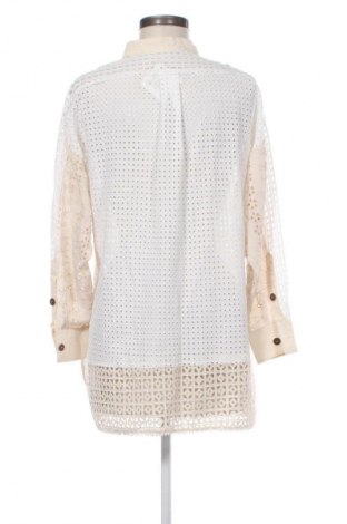 Damenbluse Zara, Größe M, Farbe Mehrfarbig, Preis 13,80 €