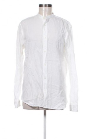 Damenbluse Zara, Größe M, Farbe Weiß, Preis 13,80 €