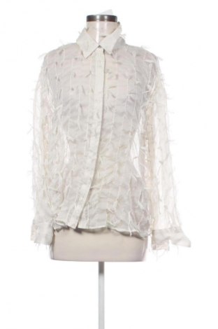 Damenbluse Zara, Größe L, Farbe Grau, Preis 13,80 €