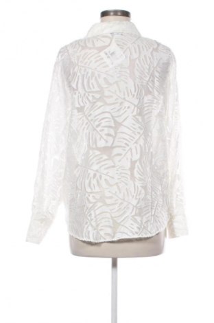 Damenbluse Zara, Größe S, Farbe Weiß, Preis 13,81 €