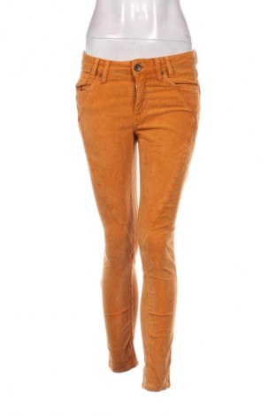 Dámske menčestráky Pulz Jeans, Veľkosť S, Farba Oranžová, Cena  15,95 €