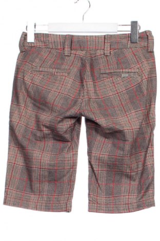 Damen Shorts 55 DSL, Größe XS, Farbe Mehrfarbig, Preis € 24,55