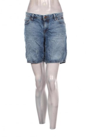 Damen Shorts Edc By Esprit, Größe L, Farbe Blau, Preis 19,99 €