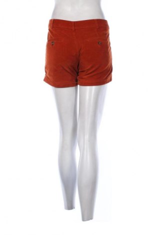 Damen Shorts United Colors Of Benetton, Größe S, Farbe Orange, Preis 17,39 €