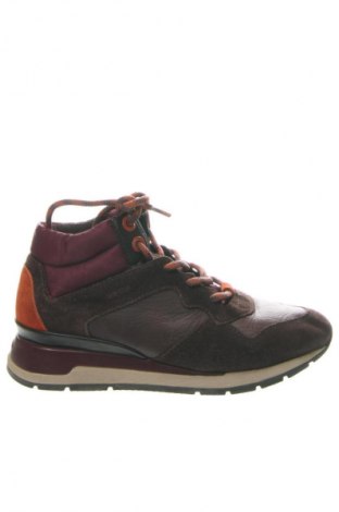 Damenschuhe Geox, Größe 36, Farbe Braun, Preis € 49,65