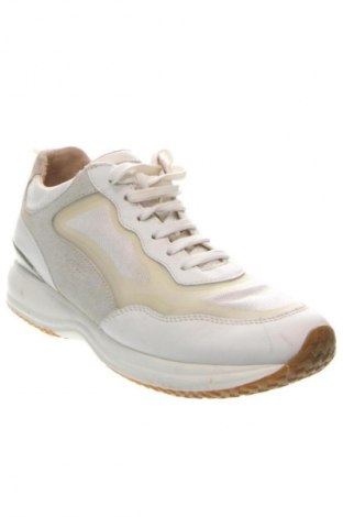 Damenschuhe Geox, Größe 40, Farbe Mehrfarbig, Preis € 84,40