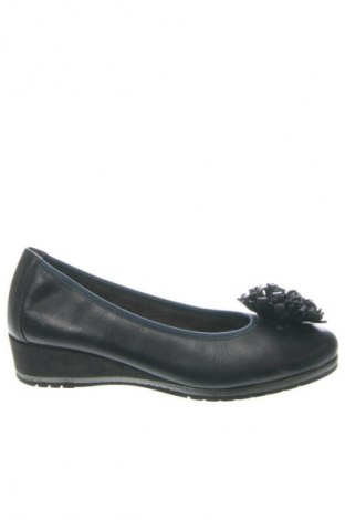 Damenschuhe Pitillos, Größe 36, Farbe Blau, Preis 38,94 €