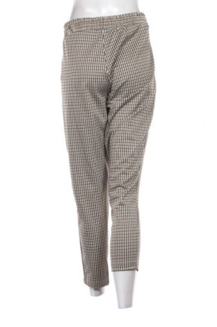 Damskie spodnie Blue Motion, Rozmiar XXL, Kolor Kolorowy, Cena 29,99 zł