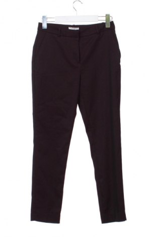 Damenhose H&M, Größe S, Farbe Rot, Preis € 13,99