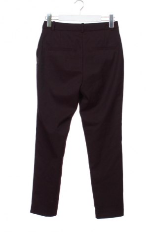 Damenhose H&M, Größe S, Farbe Rot, Preis € 13,99